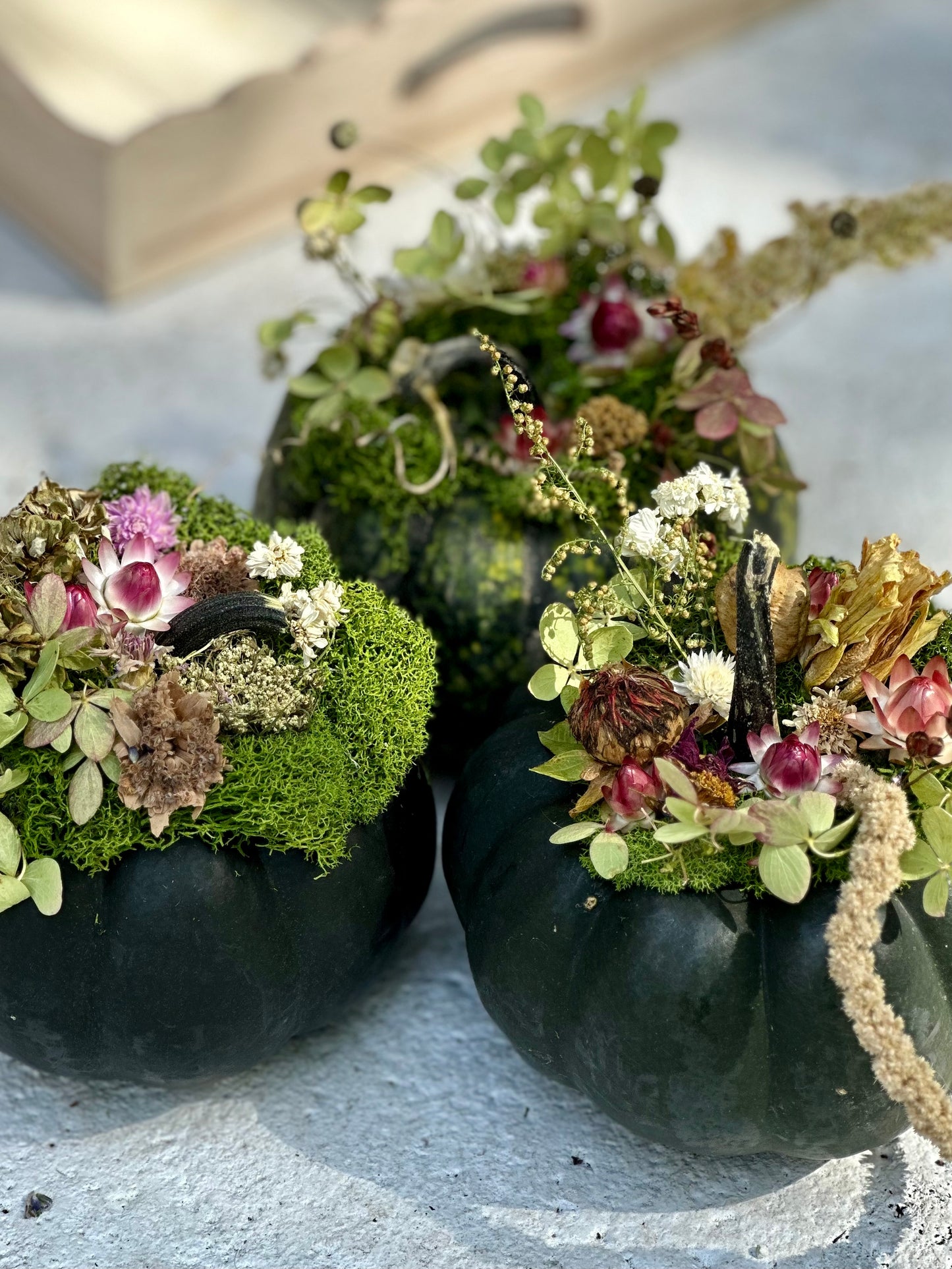 Dried Flower Pumpkins (Pre-Order)
