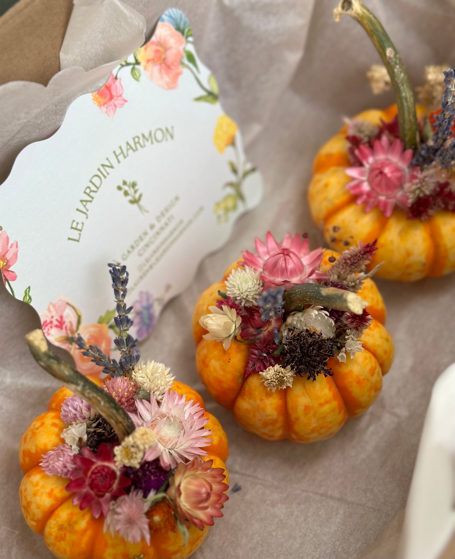 Dried Flower Pumpkins (Pre-Order)