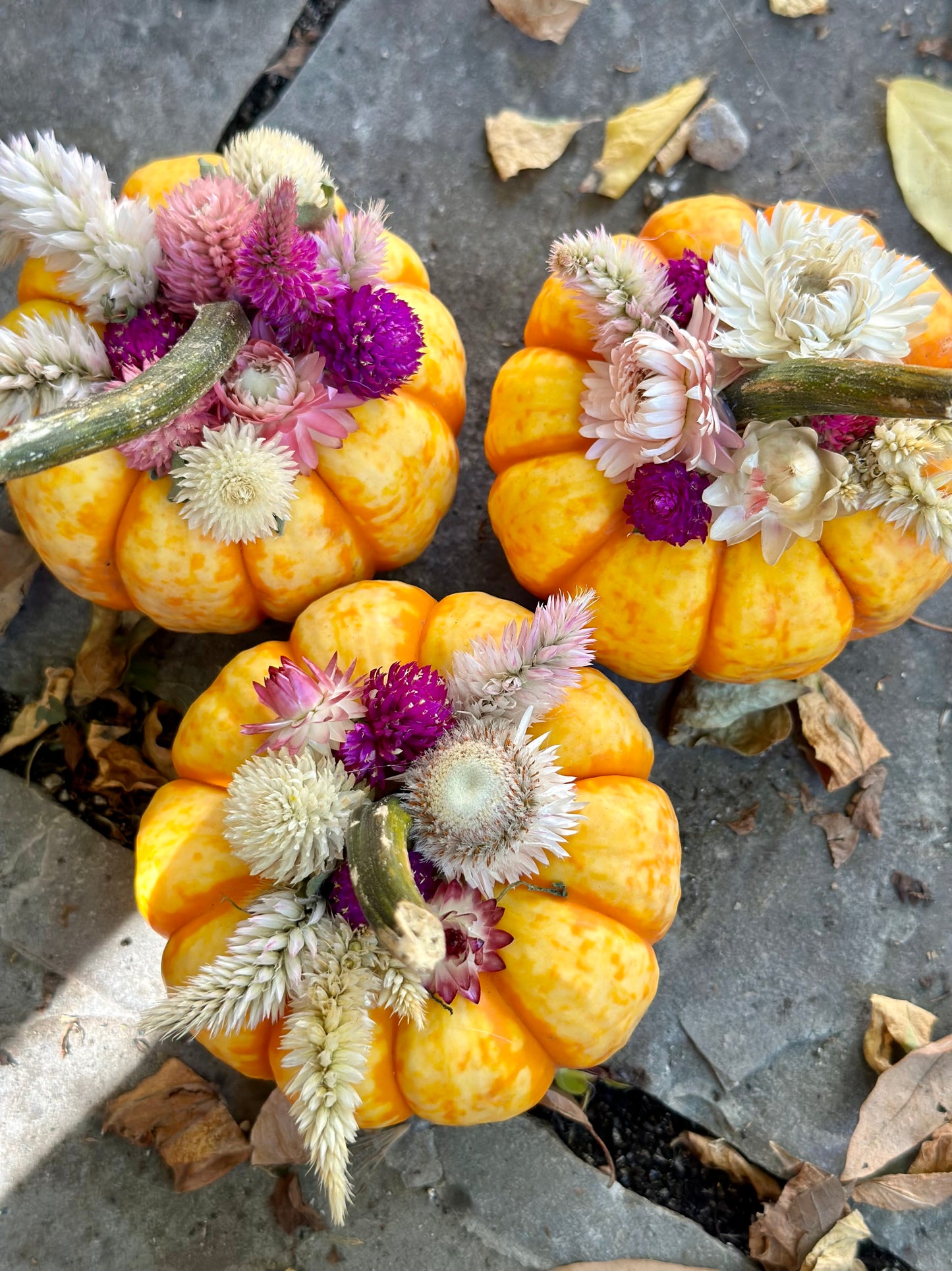 Dried Flower Pumpkins (Pre-Order)