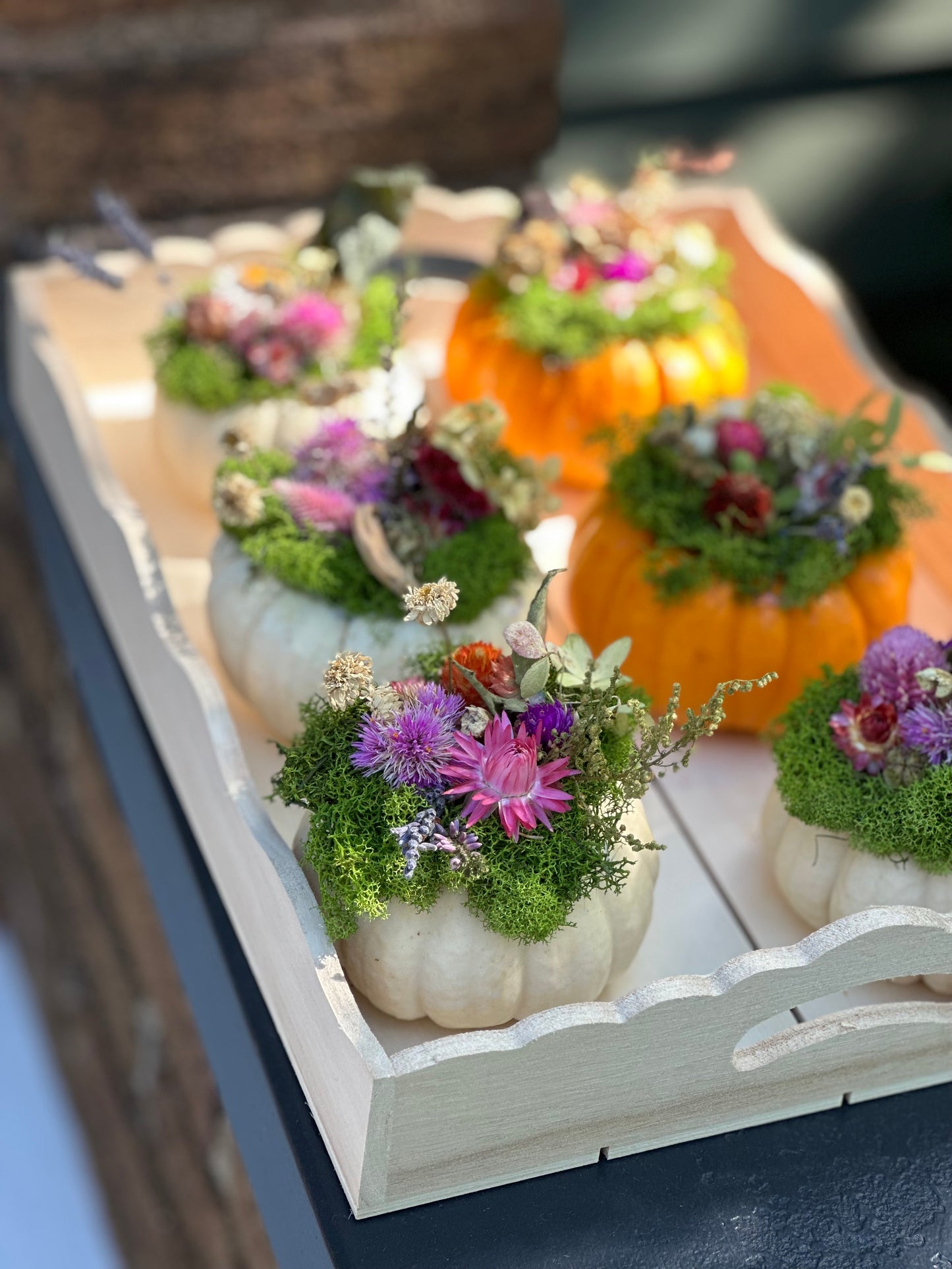 Dried Flower Pumpkins (Pre-Order)