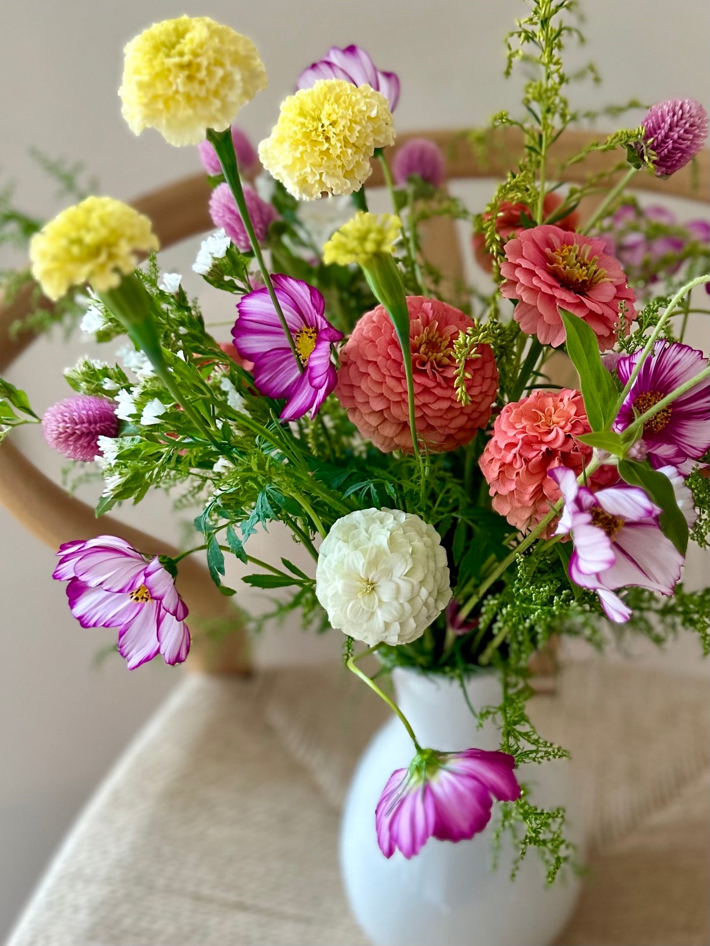 Grow your Own Cut Flower Garden Plant Starts