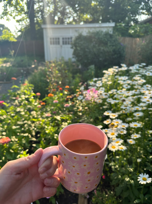 Grow your Own Cut Flower Garden Plant Starts