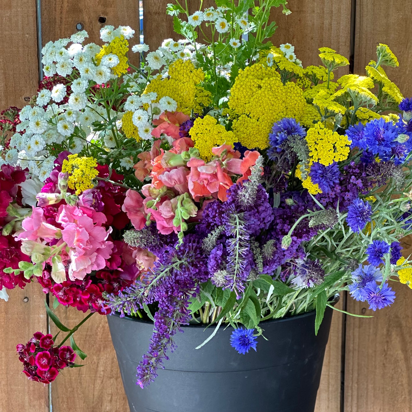 Bucket of Blooms